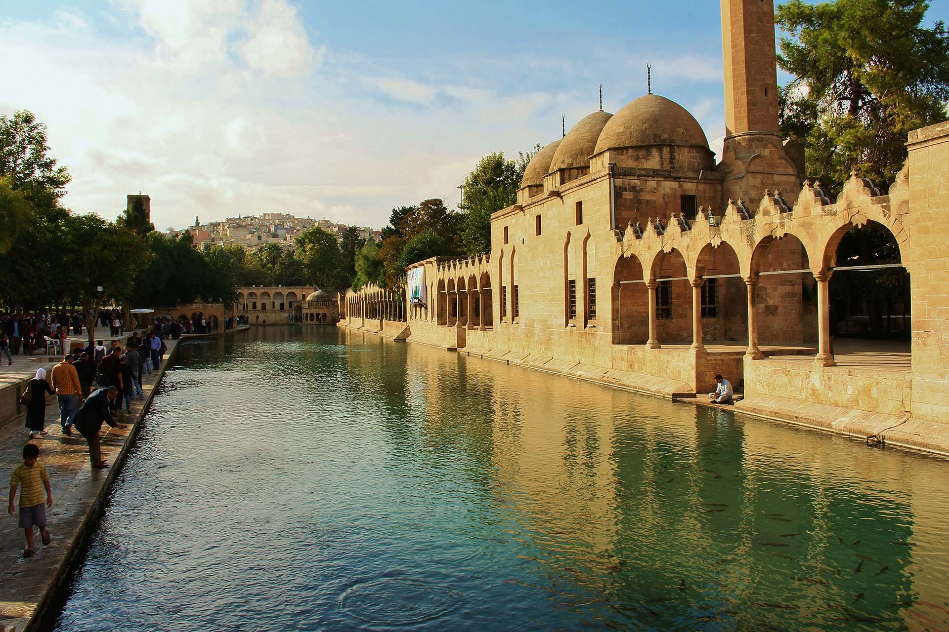 Group and Regional Tours || Rota Doğu Turizm
