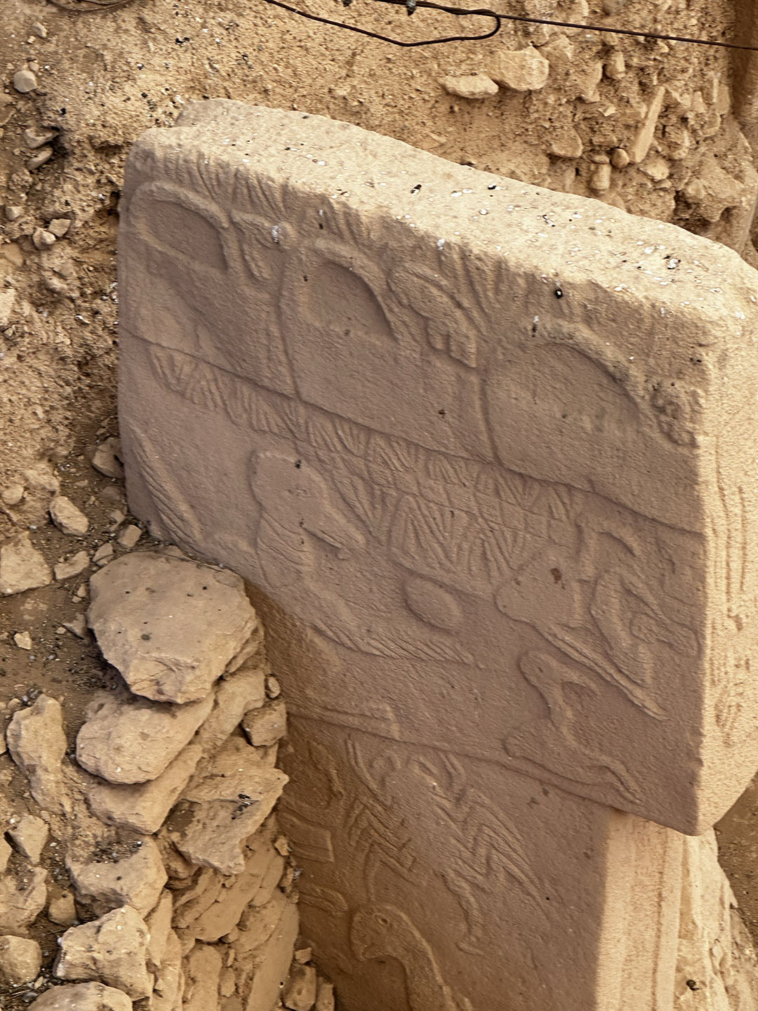 Mission Vision || Rota Doğu Turizm